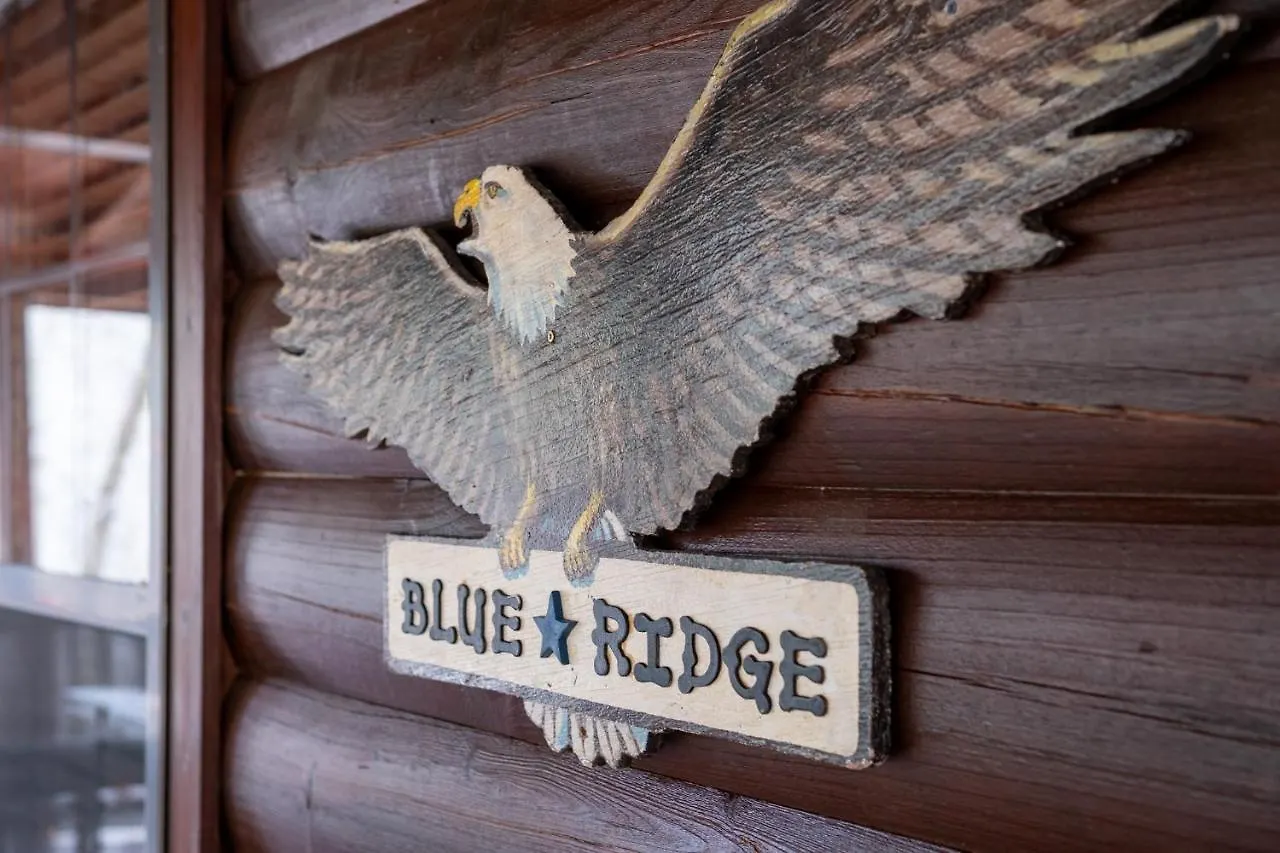 Three Dog Night - Pet-friendly Cabin With Hot Tub *