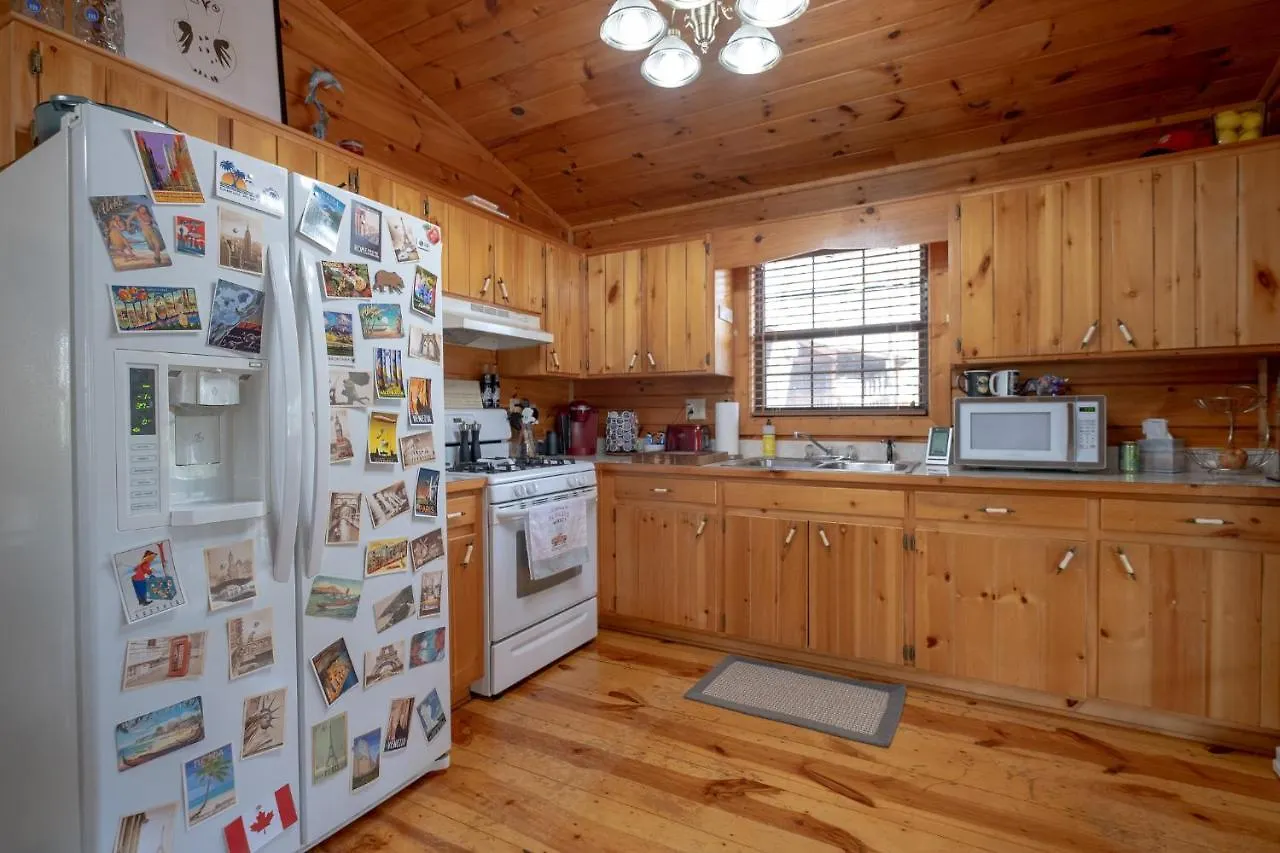 Three Dog Night - Pet-friendly Cabin With Hot Tub * Blue Ridge