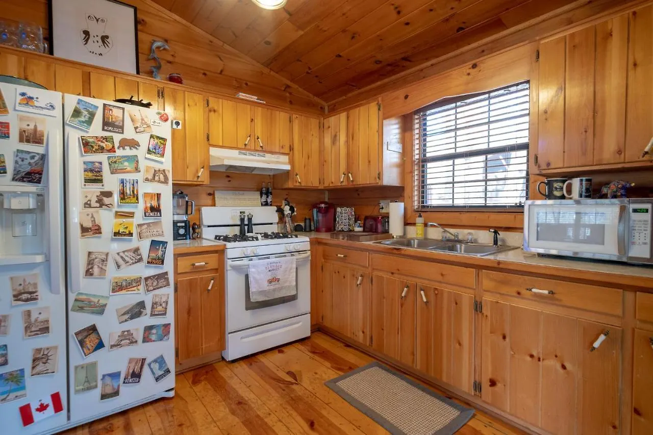 Three Dog Night - Pet-friendly Cabin With Hot Tub Ferienhaus