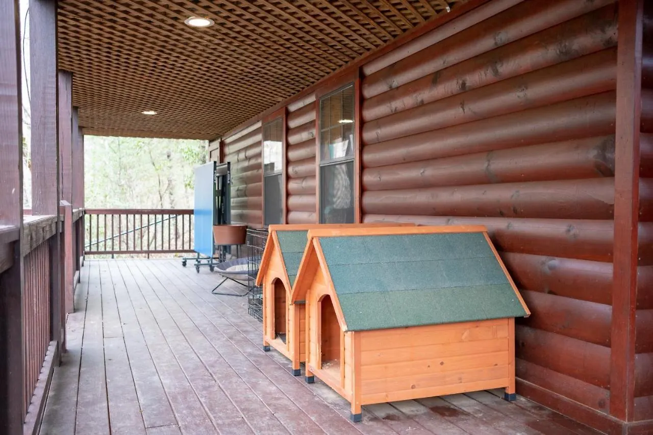 Three Dog Night - Pet-friendly Cabin With Hot Tub Ferienhaus Blue Ridge