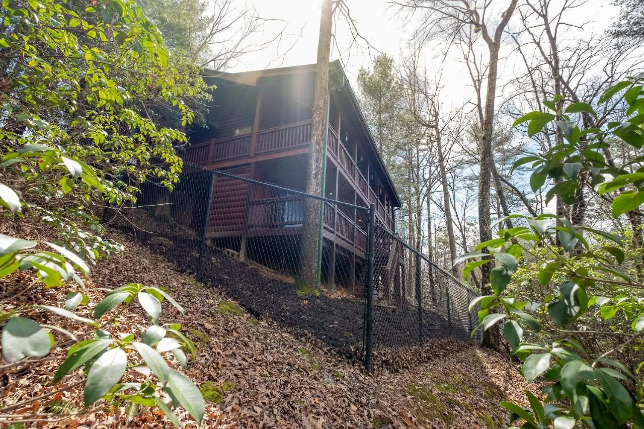 Three Dog Night - Pet-friendly Cabin With Hot Tub Ferienhaus