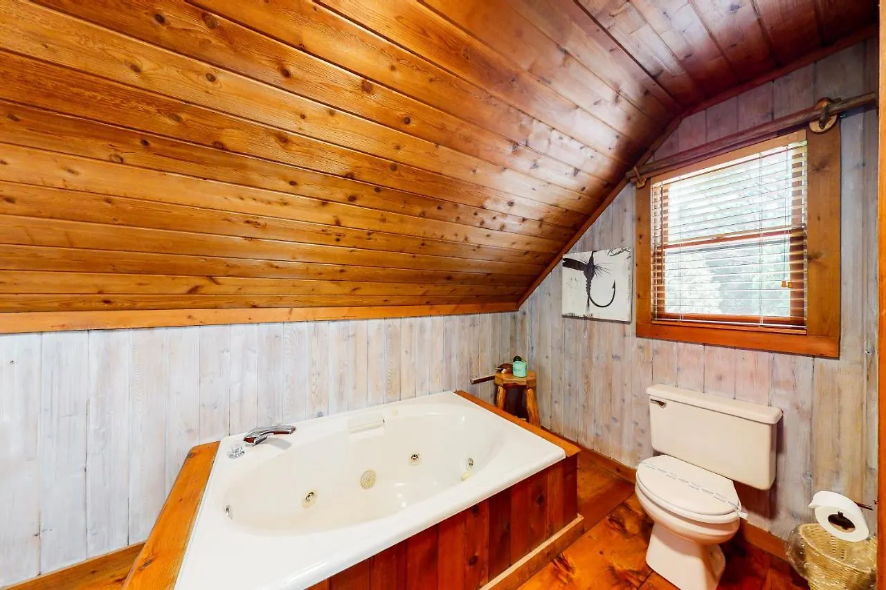 Toccoa River Retreat Holiday home
