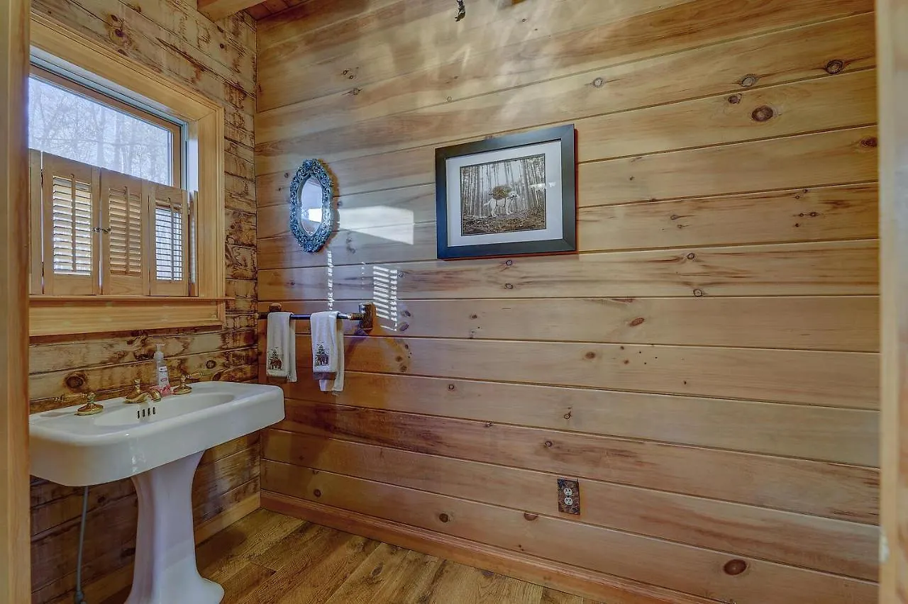 Bliss- Spacious Cabin, Pets, Hot Tub! * Blue Ridge