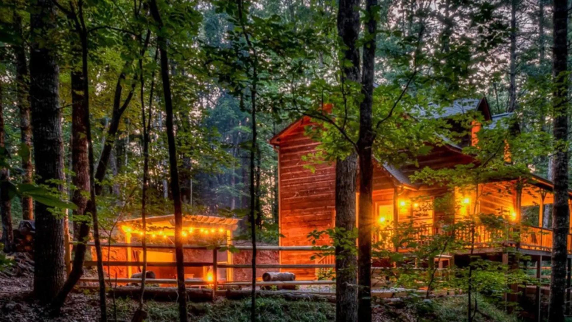 Cozy Cub Tatil Evi