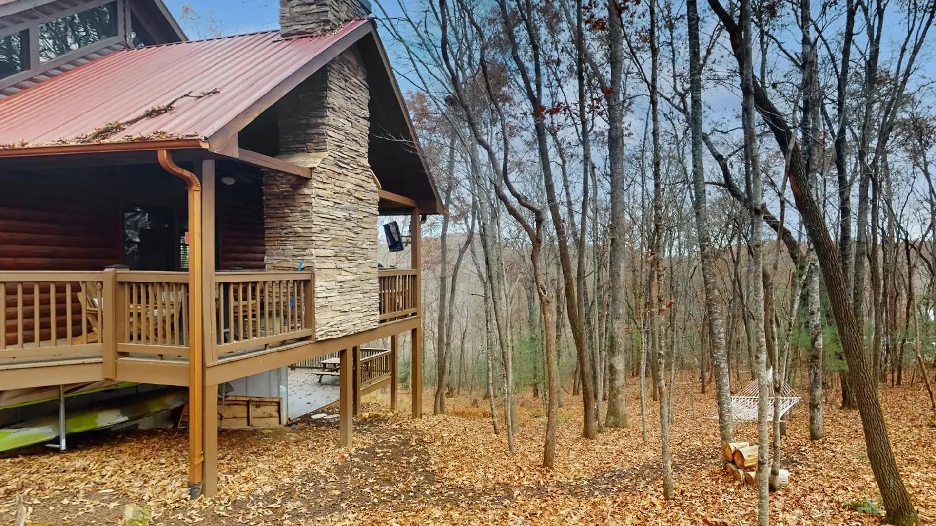 Bear * Blue Ridge