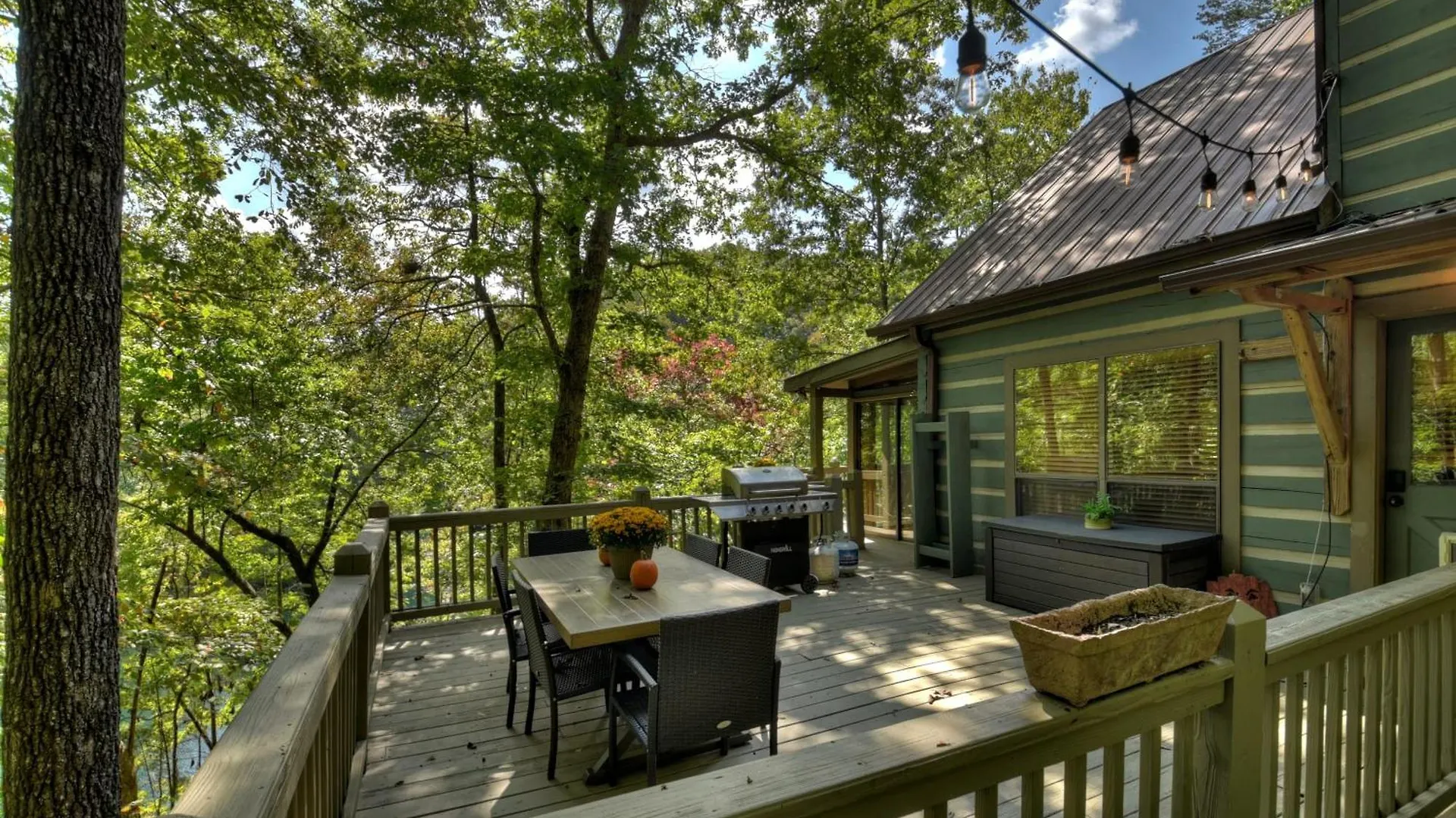 Waywish Waterfront In Mountains Blue Ridge
