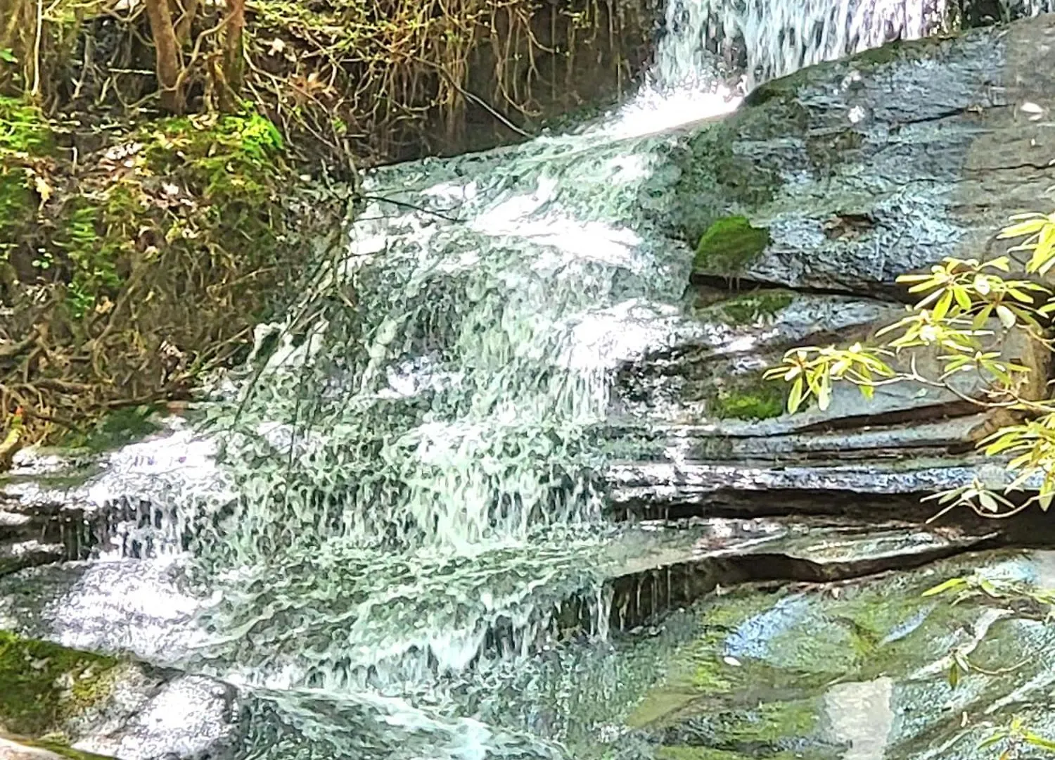 Luxury With Waterview And Privacy, Hiking Blue Ridge