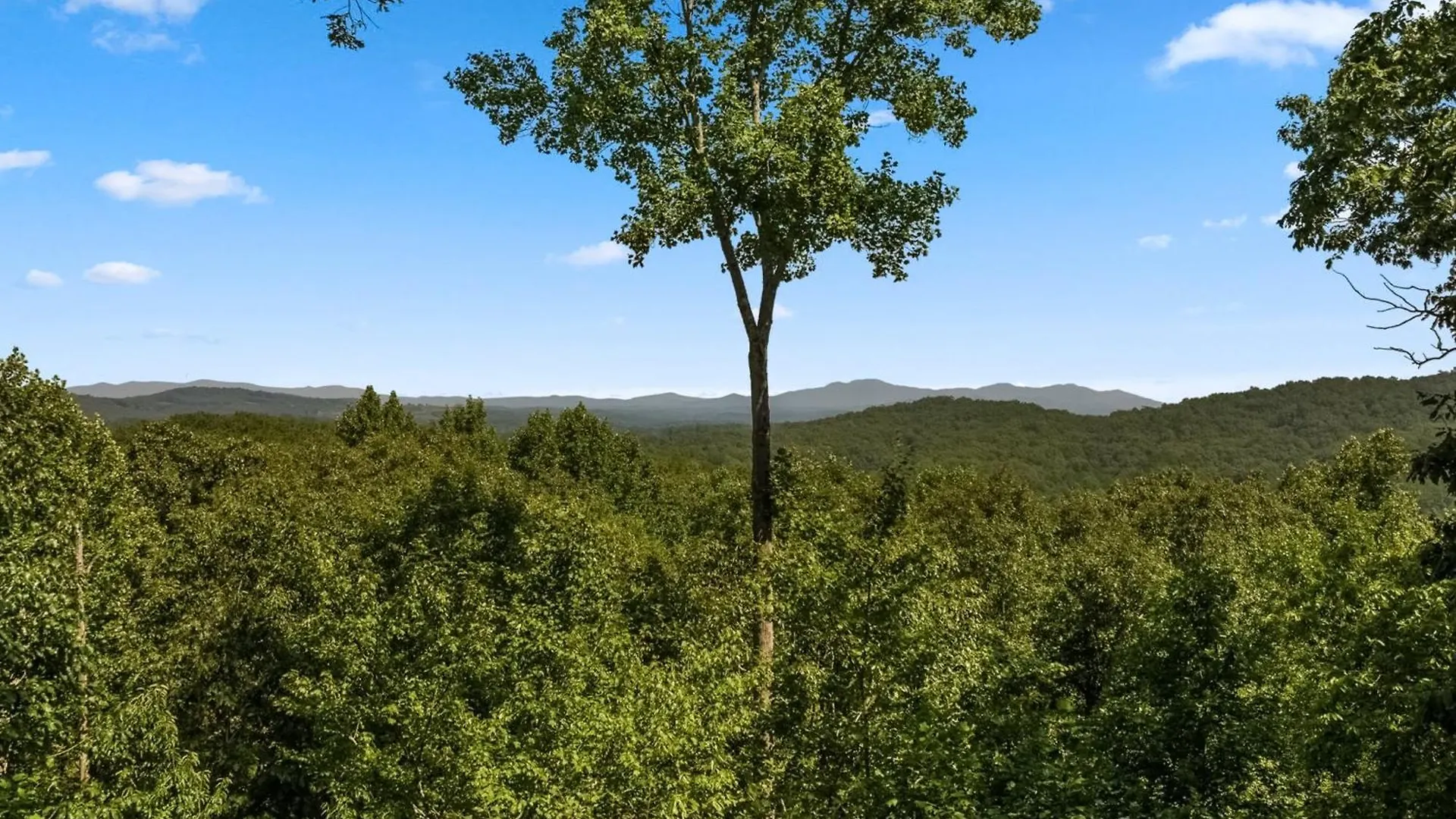 Moonshine Overlook Сasa de vacaciones Blue Ridge