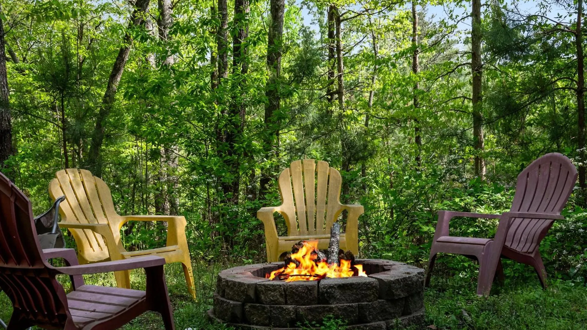 Wood Haven Retreat - Pet Friendly Σπίτι διακοπών