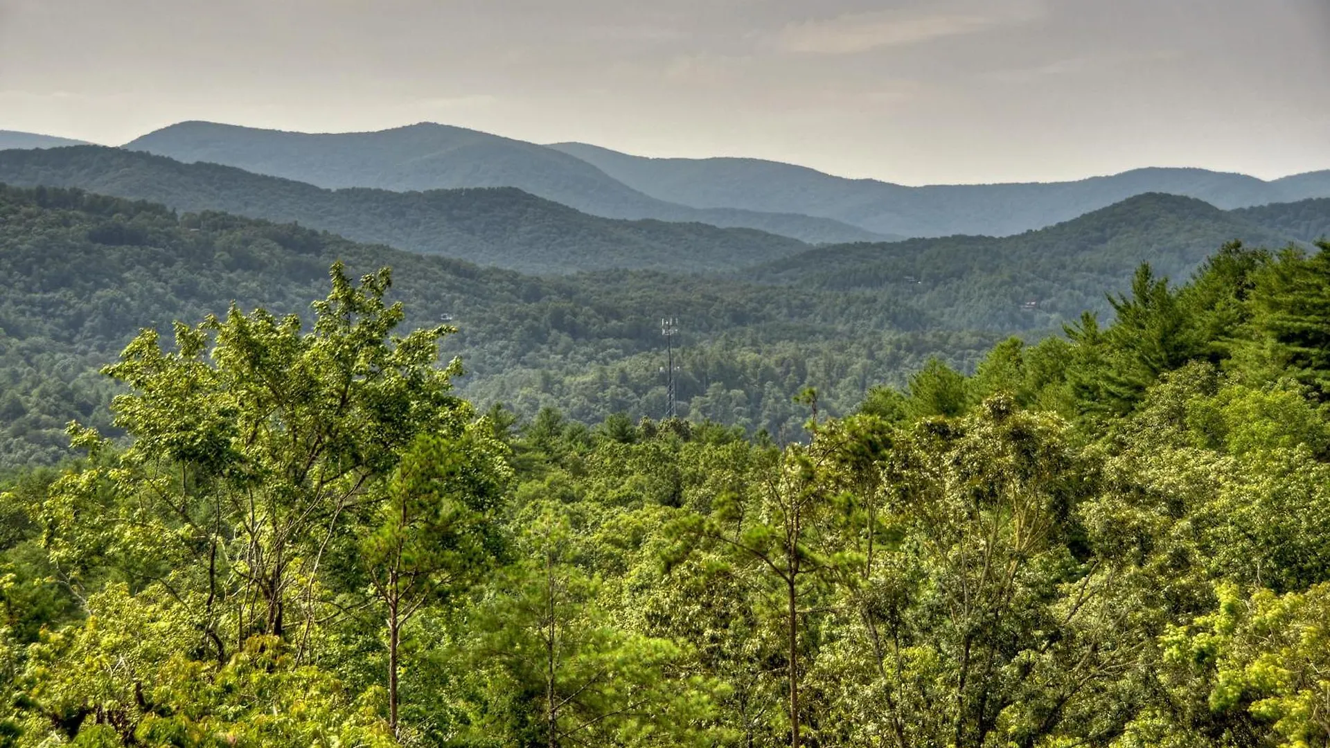 3 Peaks And A Treehouse - 10 Minutes To * Blue Ridge