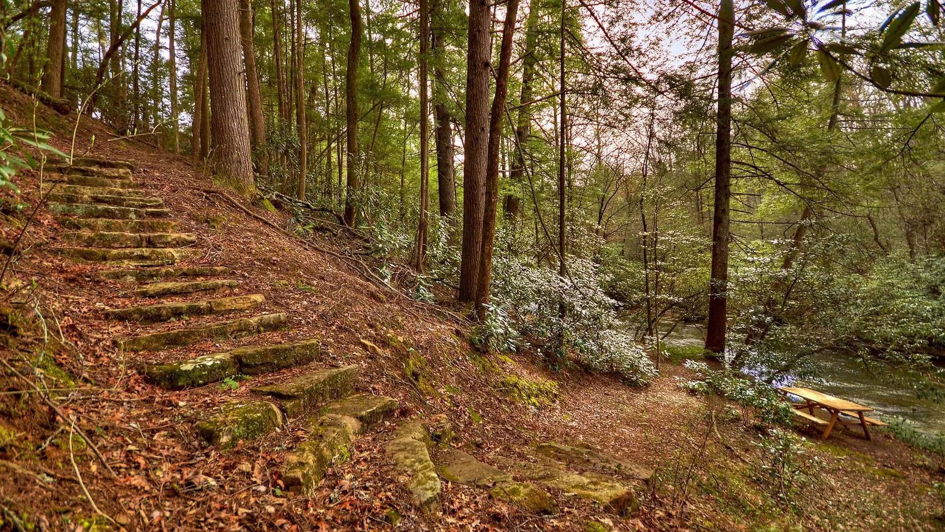 Reel Creek - Fightingtown Creek Ferienhaus Blue Ridge