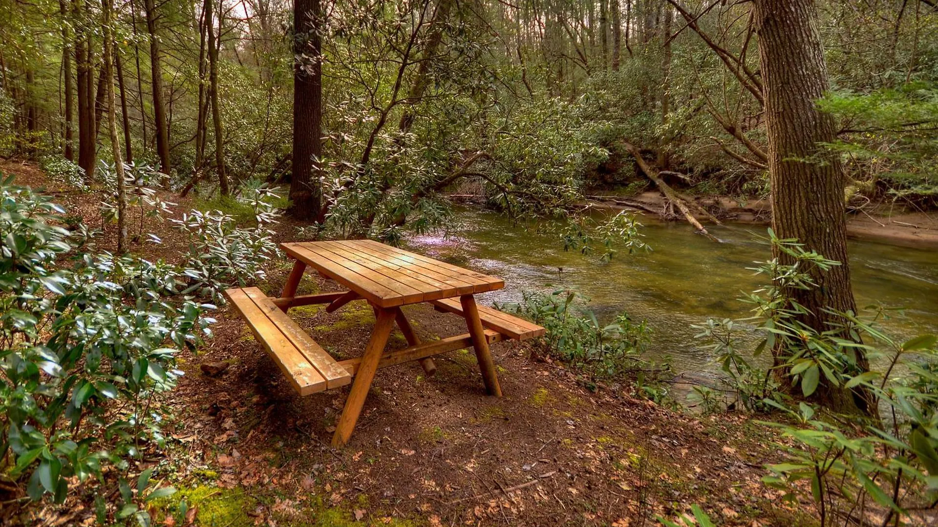 Ferienhaus Reel Creek - Fightingtown Creek *