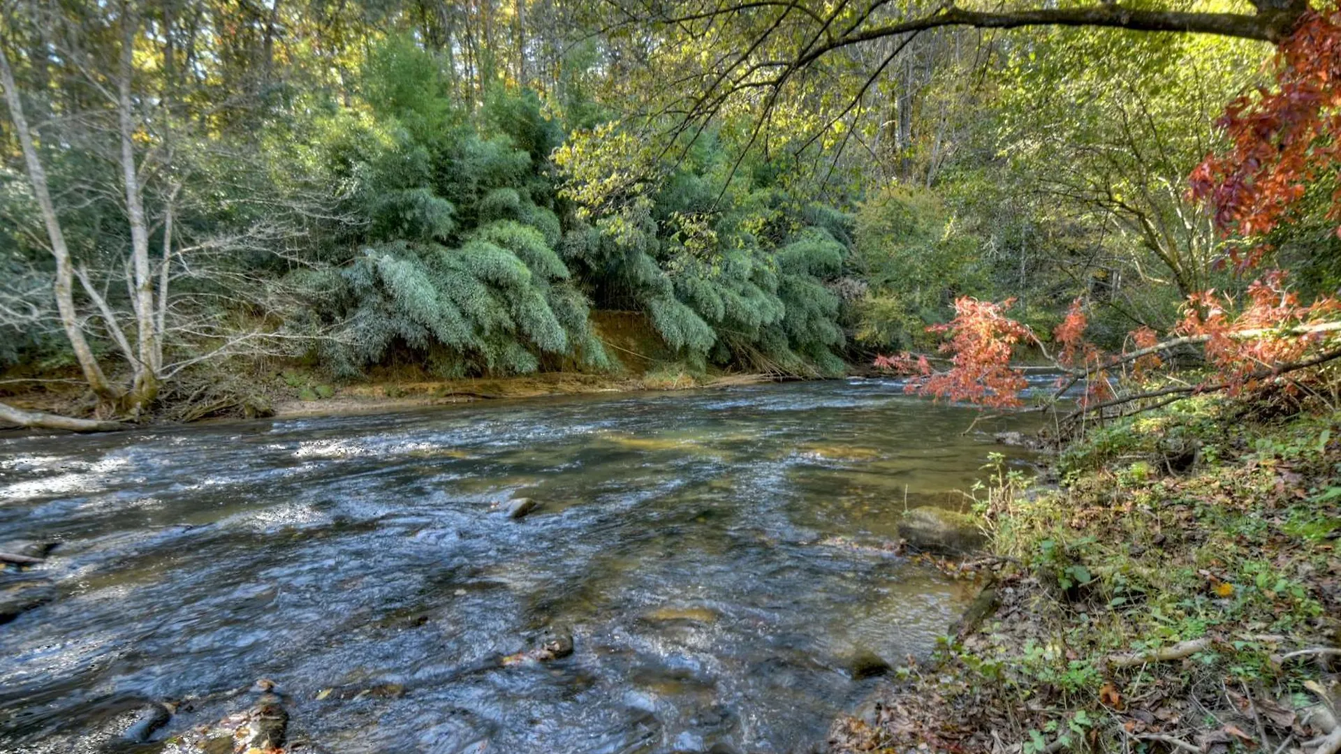 Creekside Bend - Creekfront On Fightingtown Creek * 蓝岭