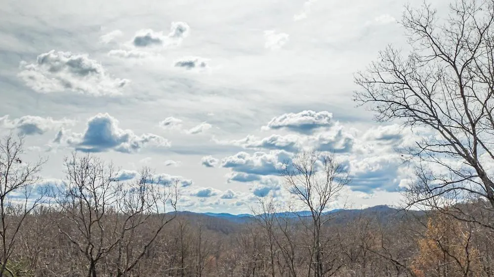 Eagles On The Ridge Blue Ridge