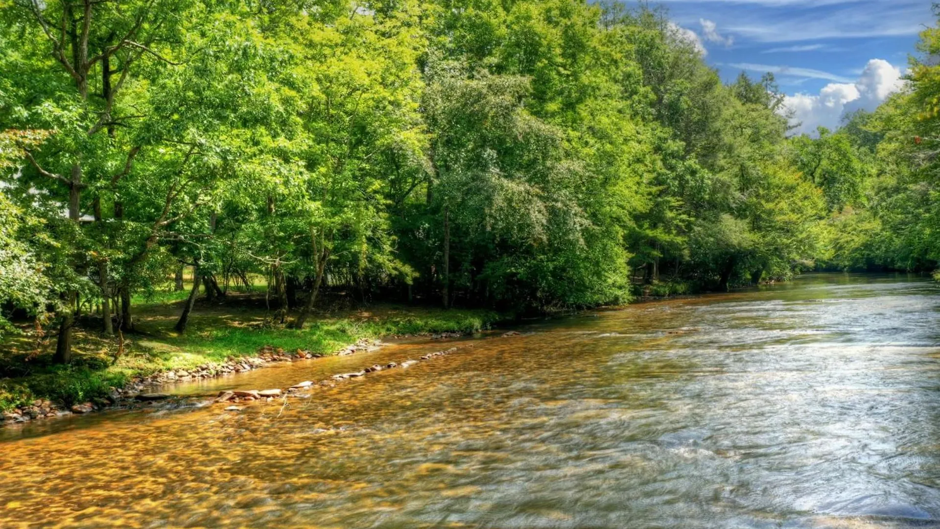 Βίλα Aska River House - Riverside Relaxation And The Comforts Of Blue Ridge