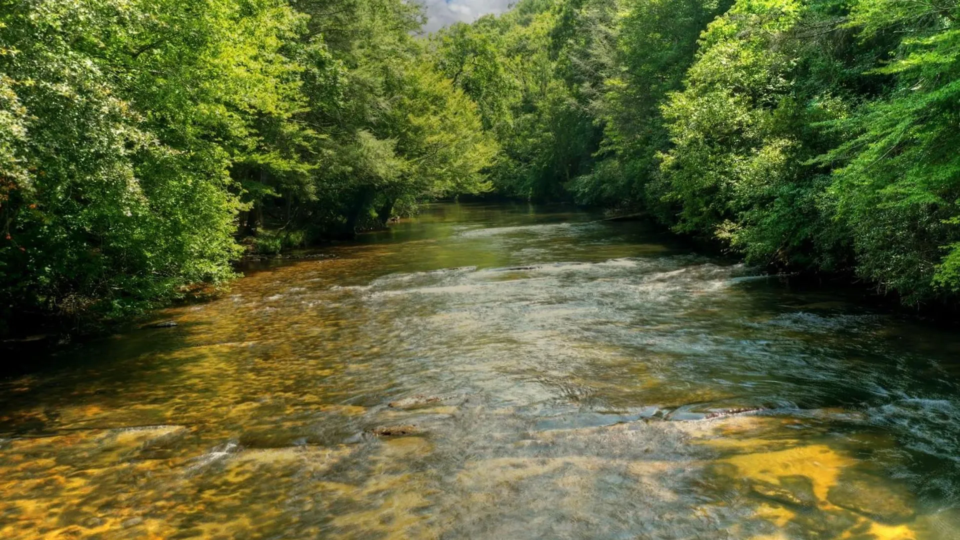 Βίλα Aska River House - Riverside Relaxation And The Comforts Of Blue Ridge