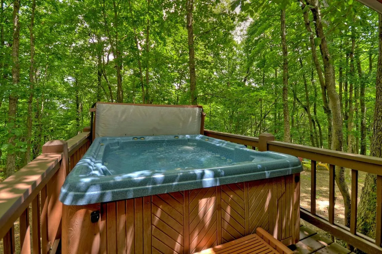 Semesterbostad Mountain Haven Blue Ridge